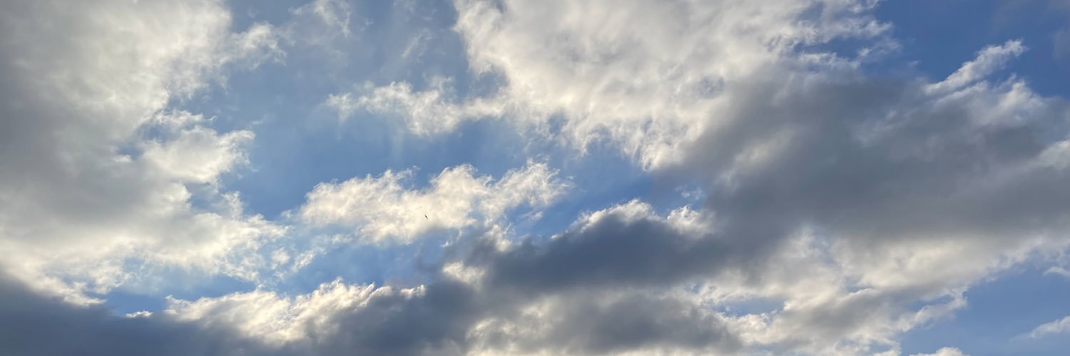 Zucchini810's profile banner image