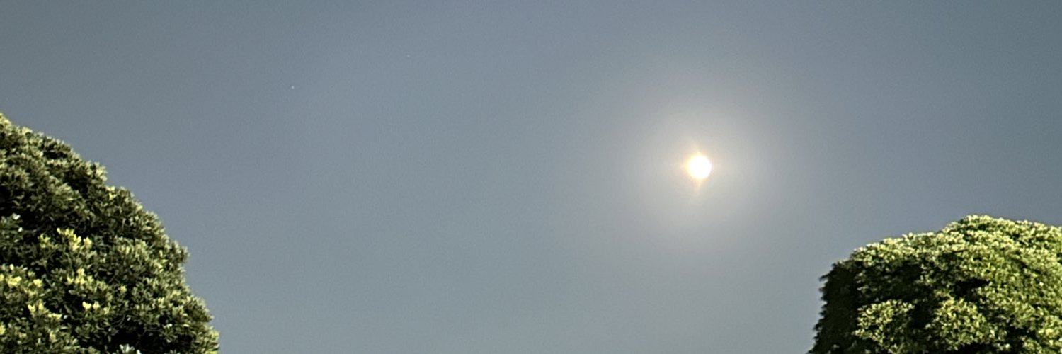 さく banner