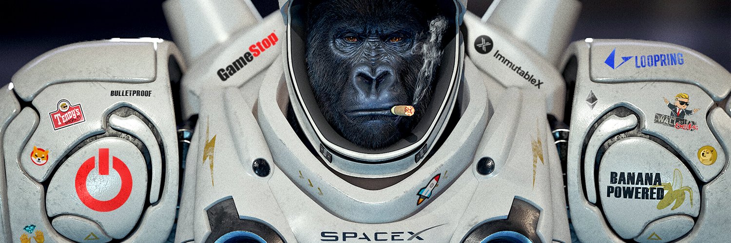 StonkyVolatile banner