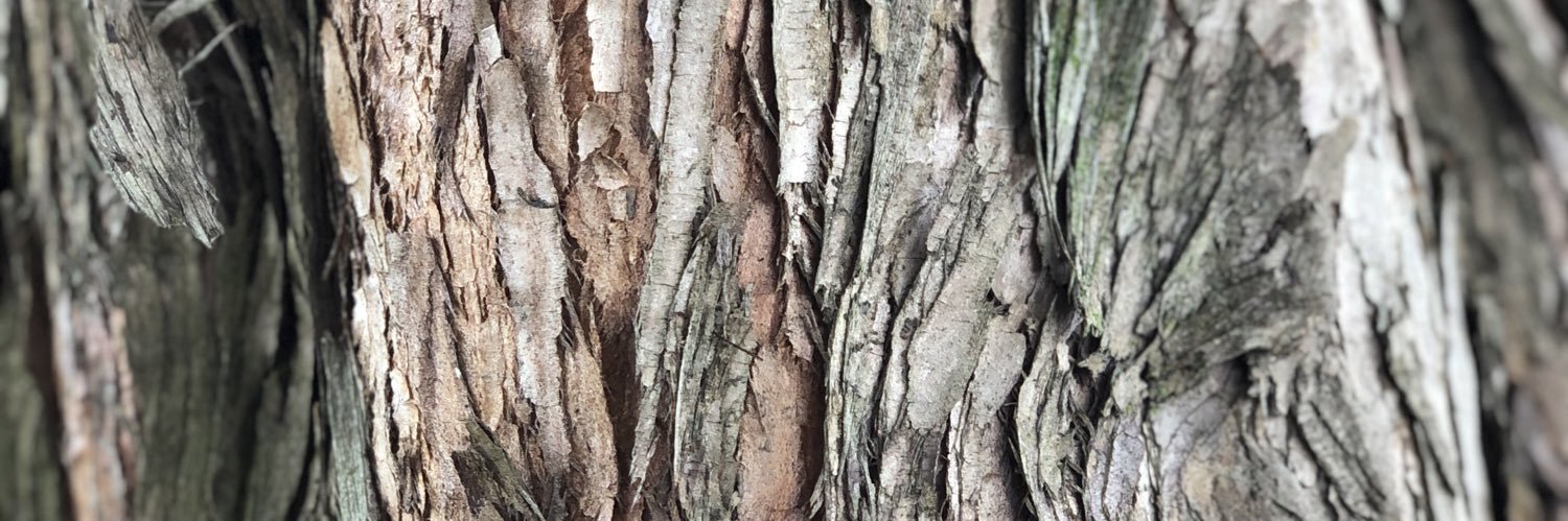 Biuhmir's profile banner image