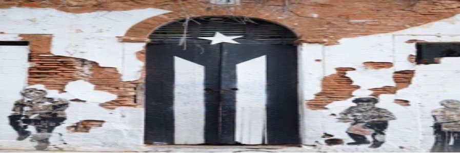 Simpleton 💯🇵🇷🇺🇸 banner