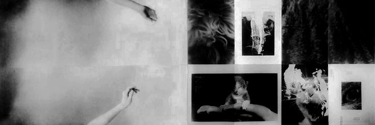 Damarta Rowan. banner