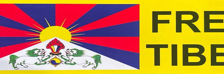 Alessandro A. 🇪🇺🇮🇹🇫🇷🏳️‍🌈 banner
