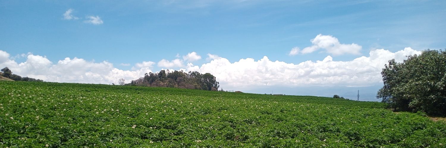 千乇尺🇲🇽 banner