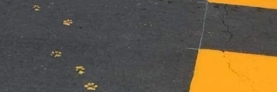 burkarbur's profile banner image