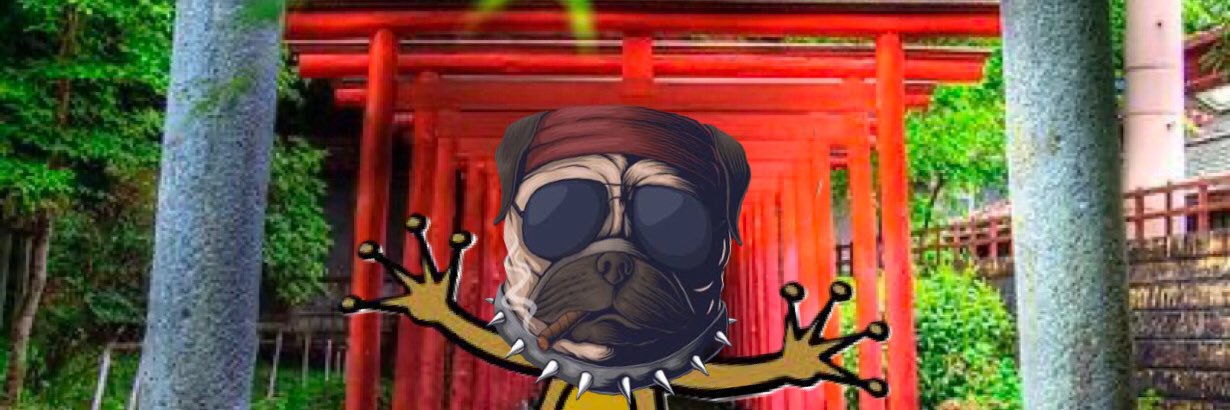 eee0w0eee's profile banner image