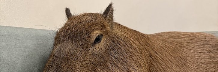 Doshh banner