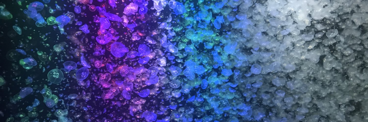rararan0305's profile banner image