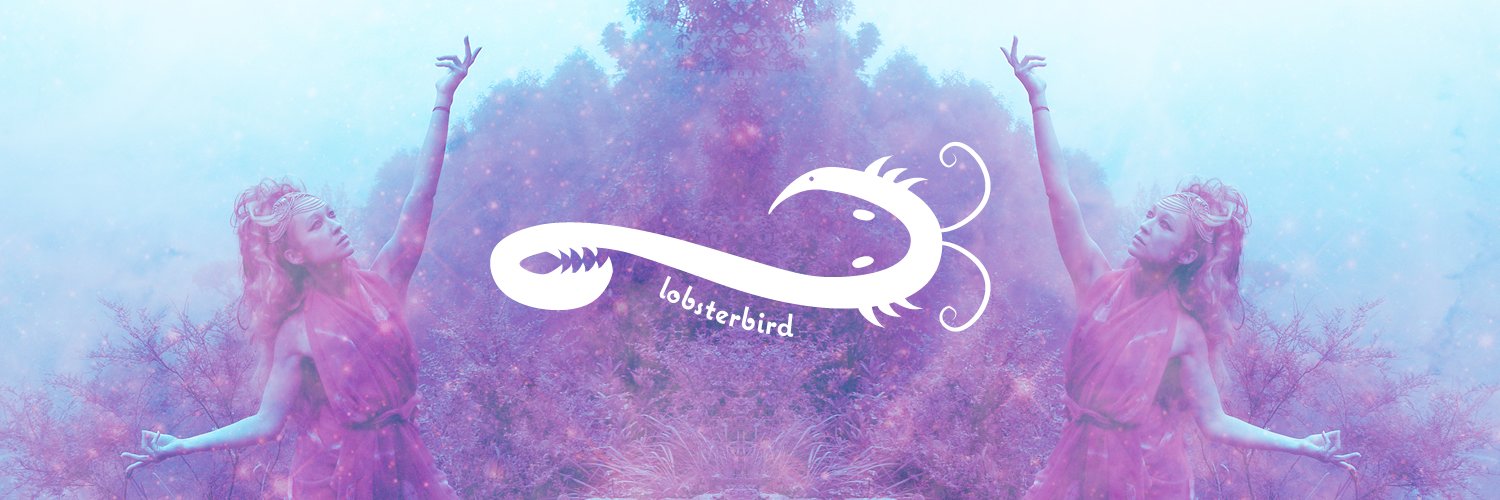 lobsterbird's profile banner image