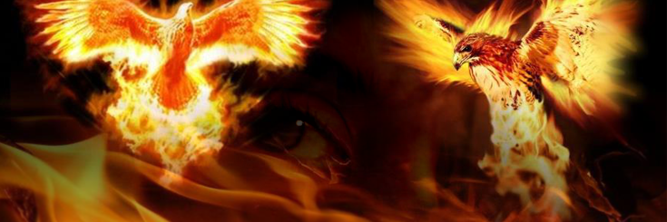 gardamik's profile banner image