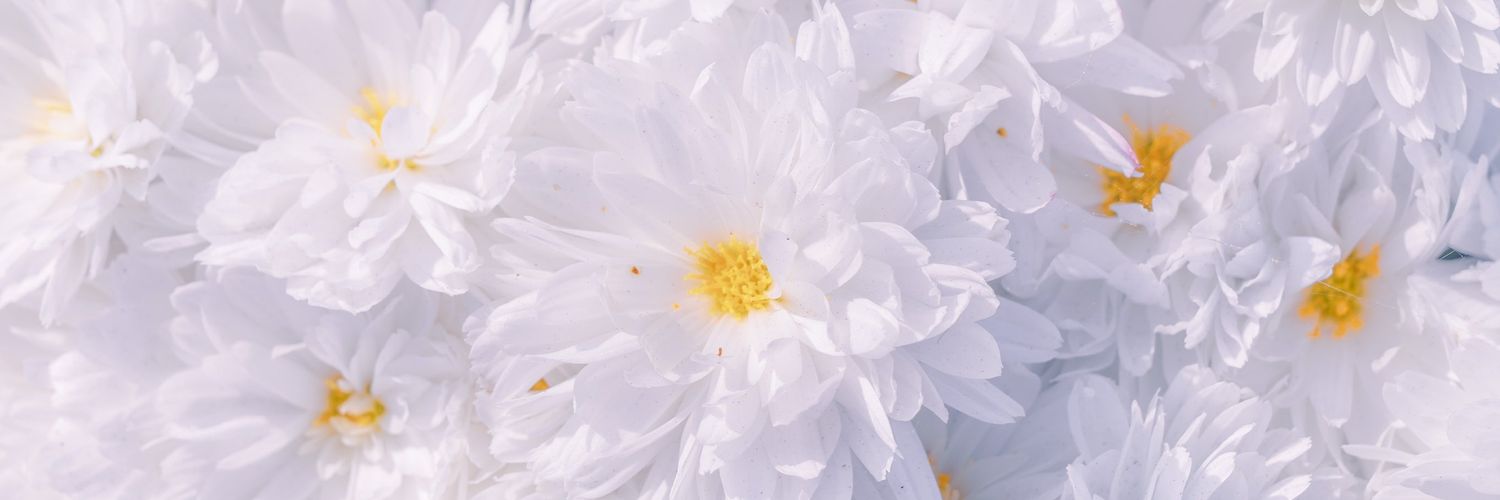 breathe122's profile banner image