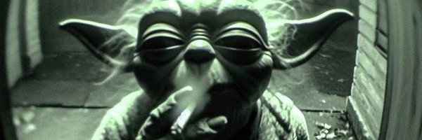 muditpathakk Profile Banner