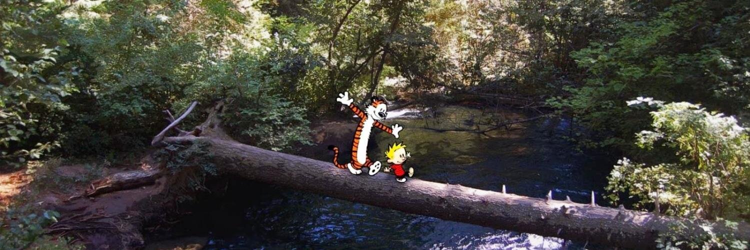 ewesserle's profile banner image