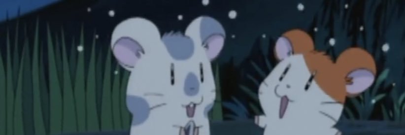 narumin_62's profile banner image