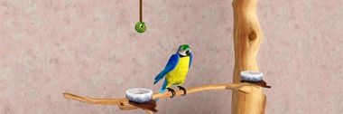 Pet Birds In The Sims banner
