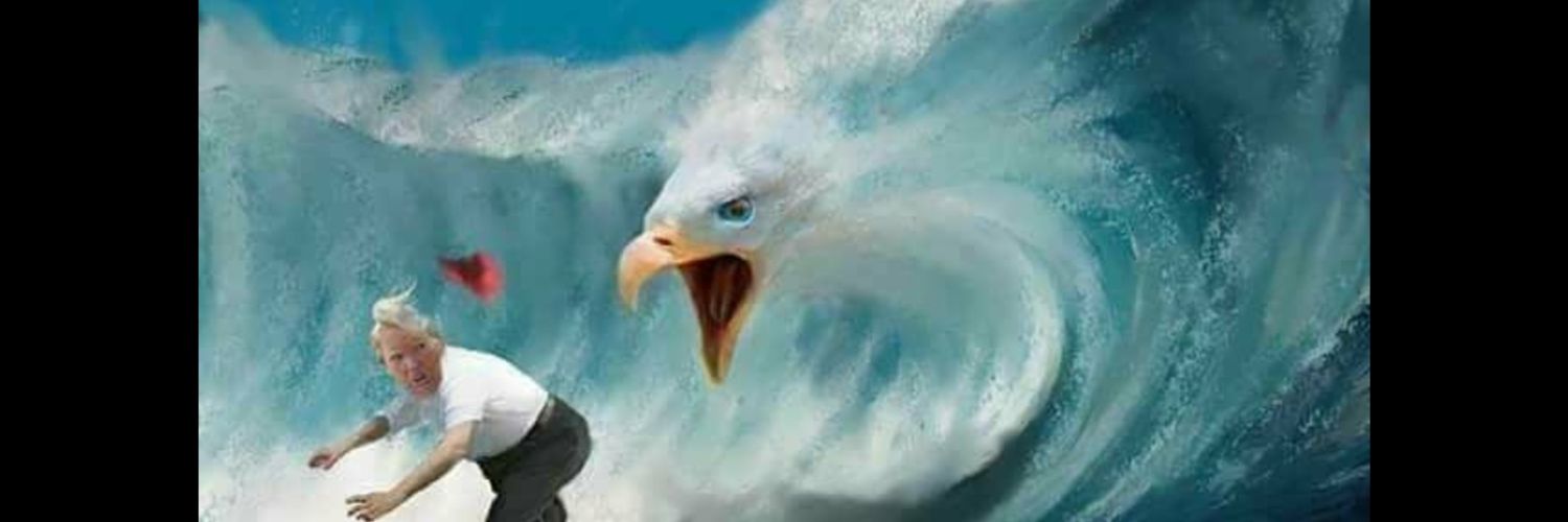apapirl's profile banner image