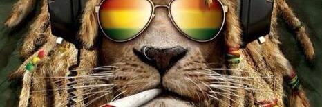 JrGong92's profile banner image