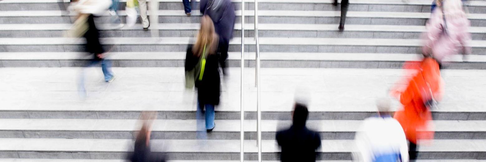 Transportministeriet banner