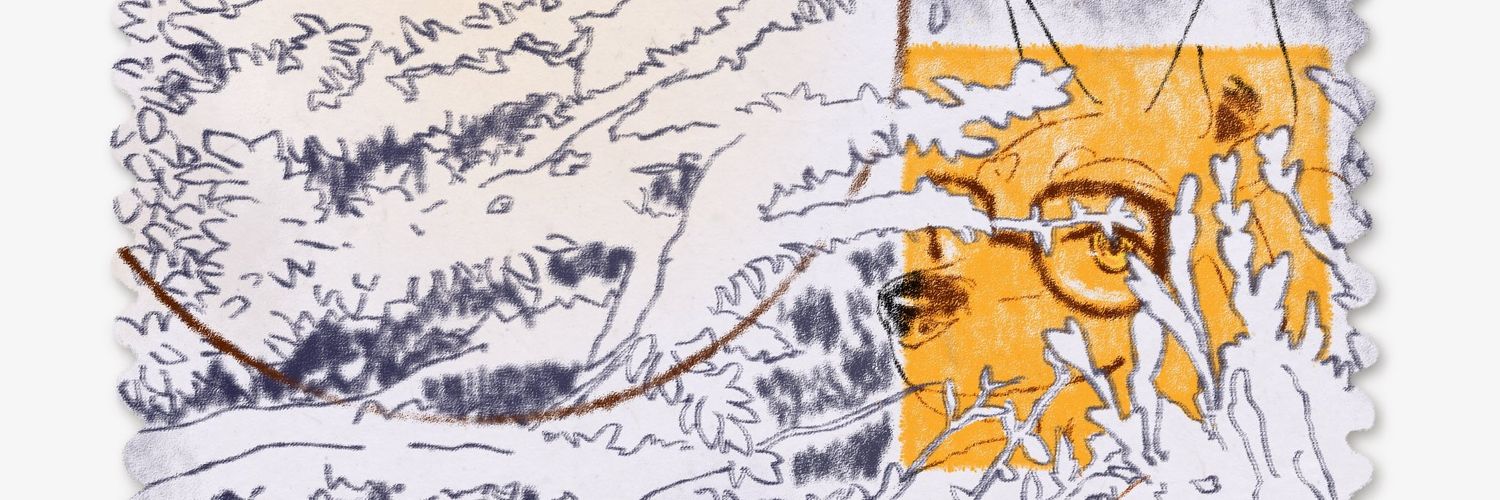 mac ✨🍉🇵🇸🇨🇩🇸🇩✨ banner