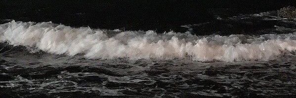 FER banner