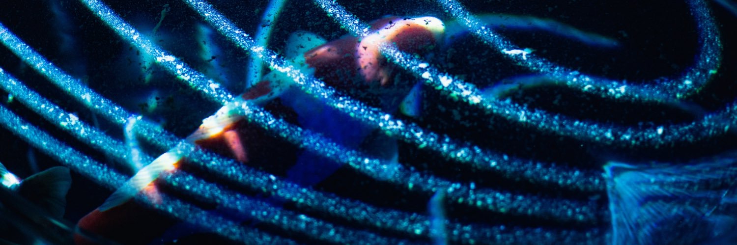 ichi_にじそ 西4 イ-57 banner