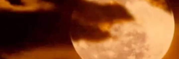 Janegalila2's profile banner image