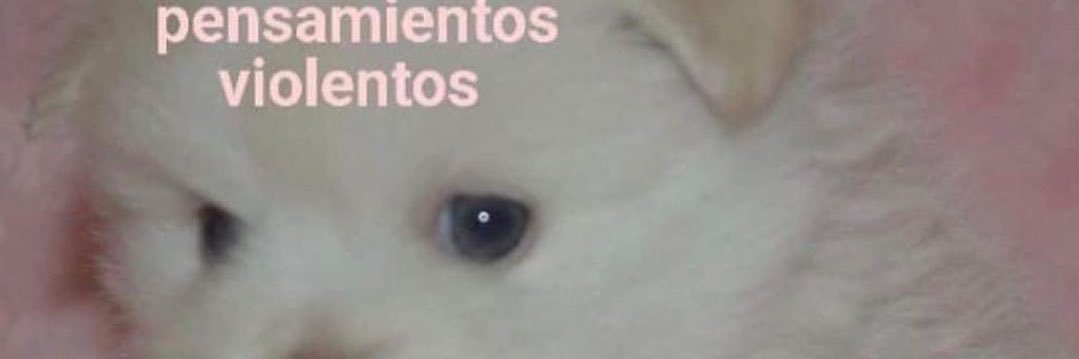 Rafa_PD's profile banner image