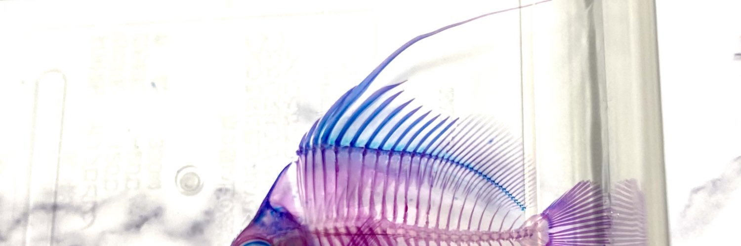 shounos1's profile banner image