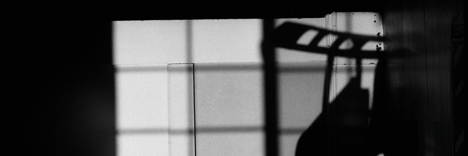 Linus Schmidt banner