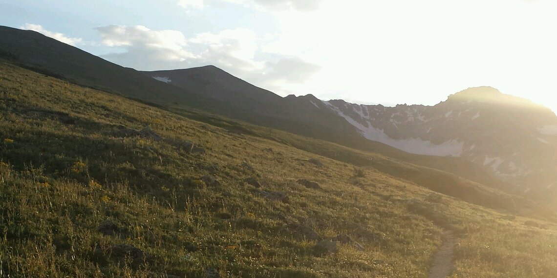 Nicole Miller-Struttmann banner