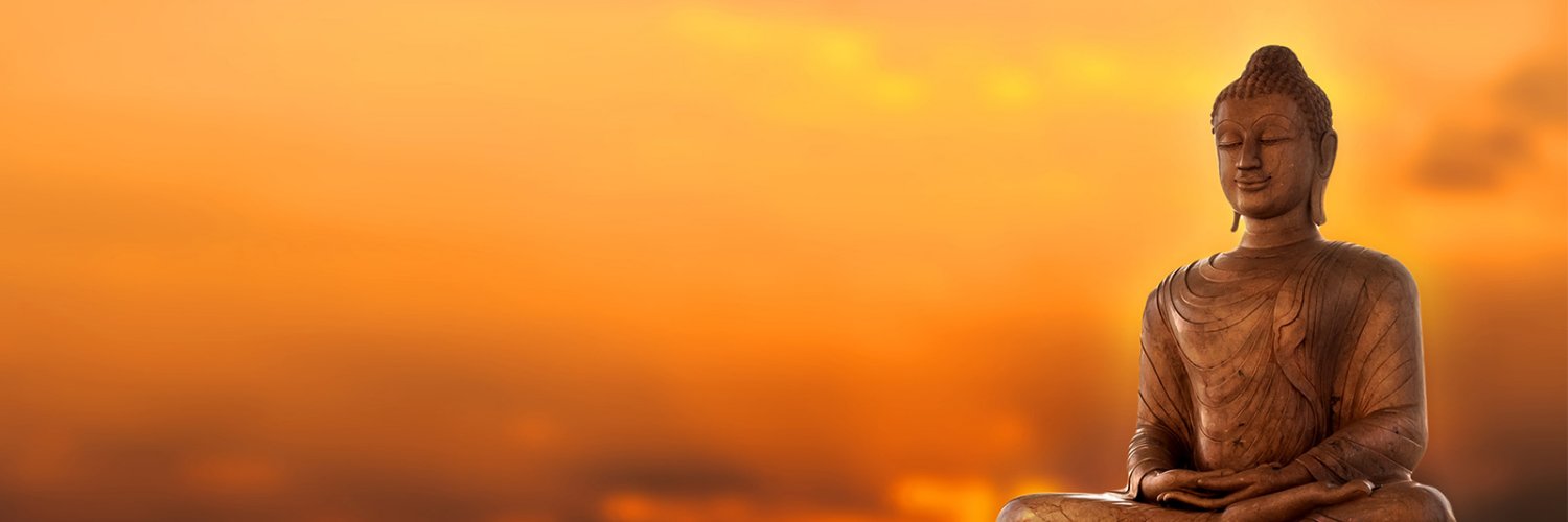 PotionPositive's profile banner image