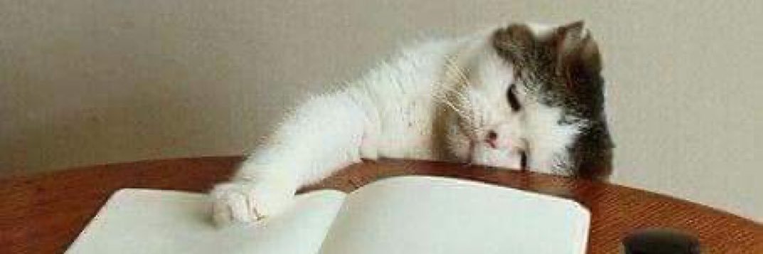 🏃🏻‍♀️ banner