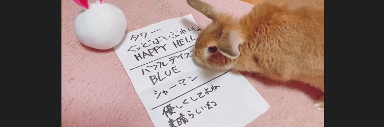 なかみむらき banner