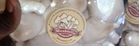 mushtella's profile banner image