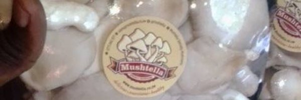 mushtella Profile Banner