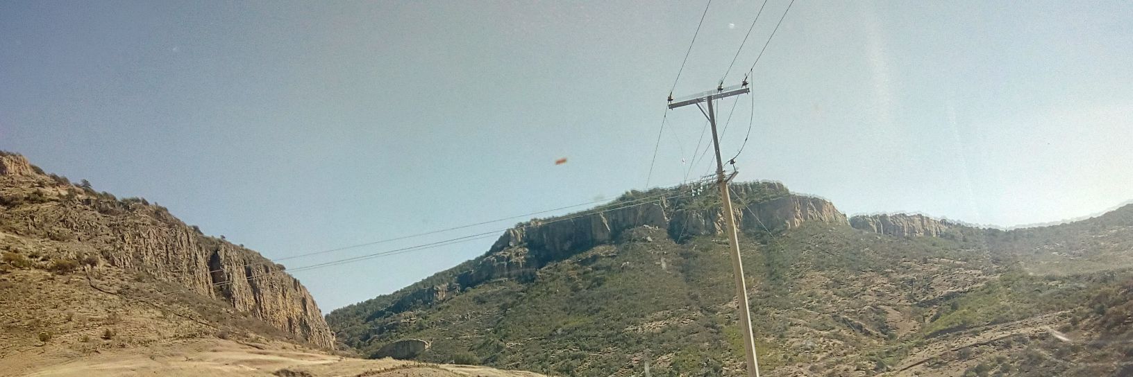 Fabrizio Fauna banner