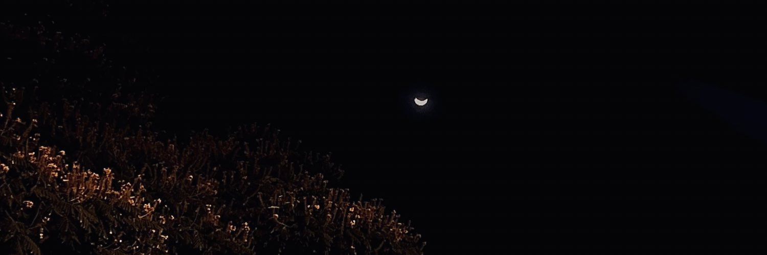 le_vidotto's profile banner image