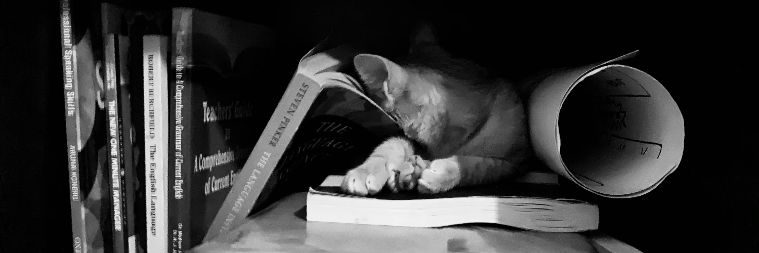 Kaustav 🏳️‍🌈 banner