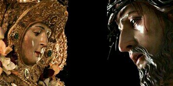 MariaV_morello's profile banner image