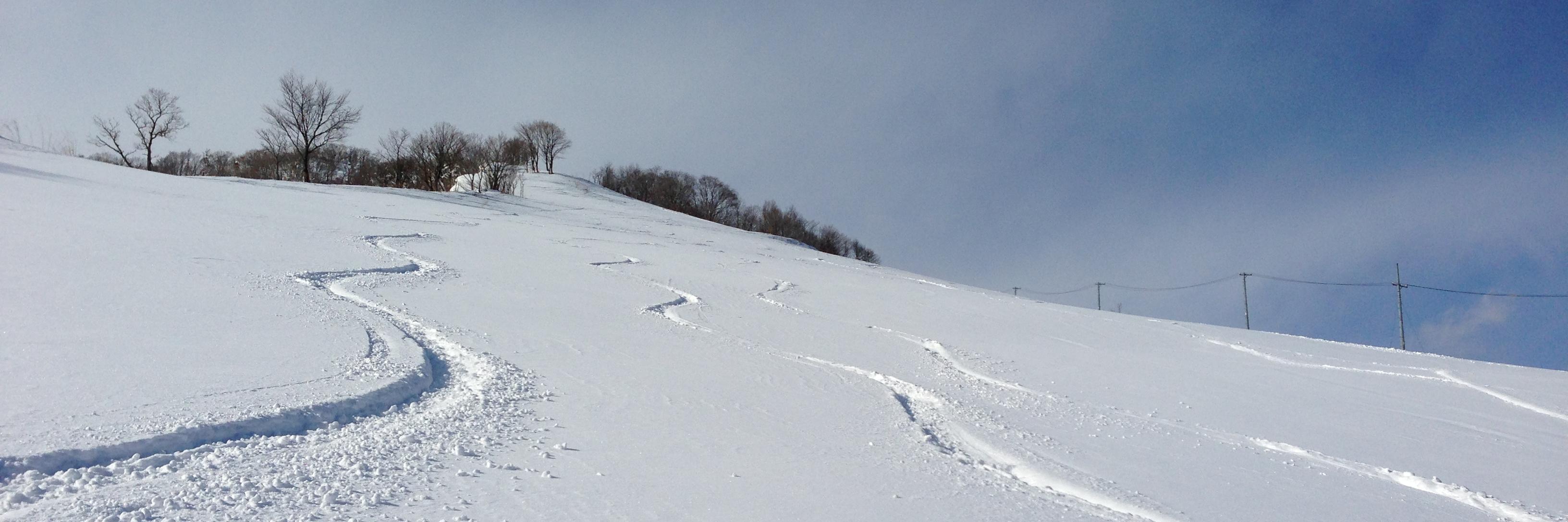 snow_hyde's profile banner image