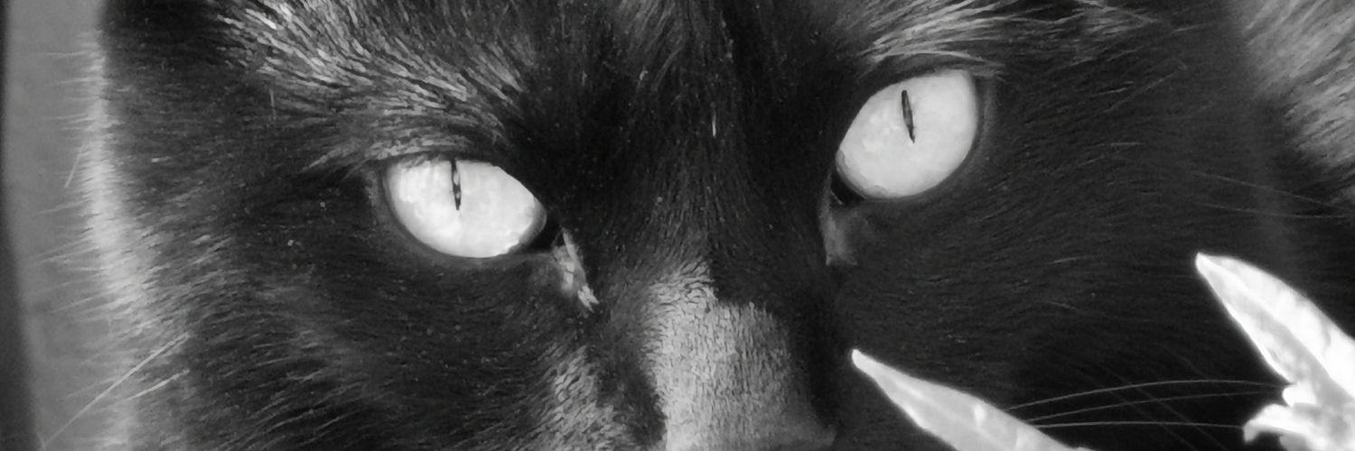 birot78's profile banner image