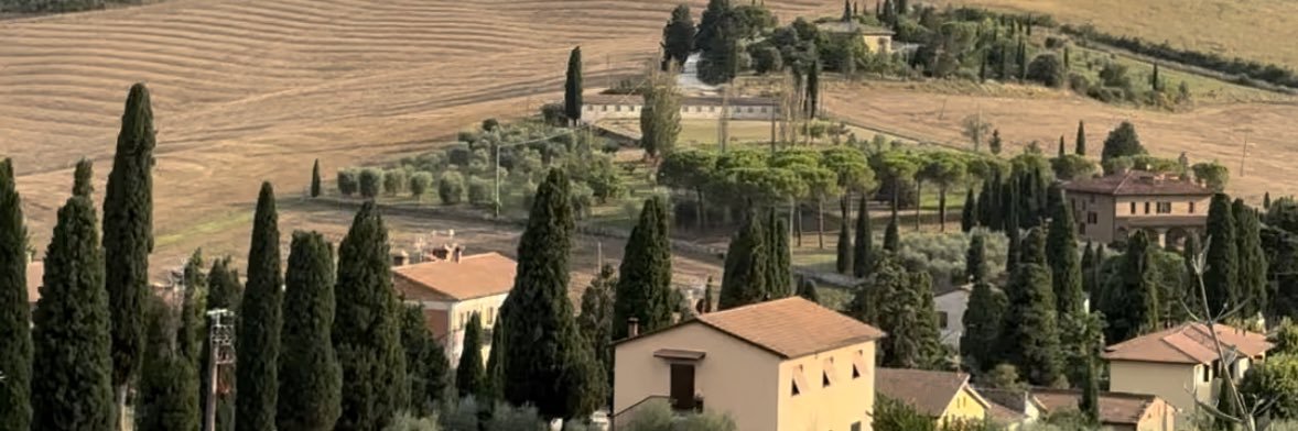 Mireya Toto Gtz banner