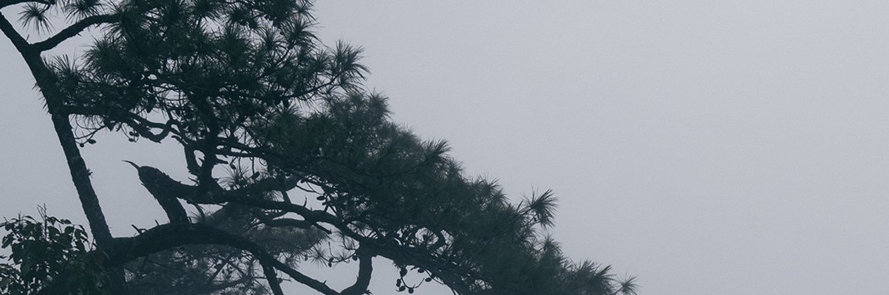 scsherm_'s profile banner image