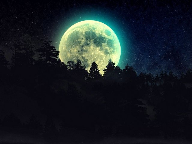 moon_star_sky's profile banner image