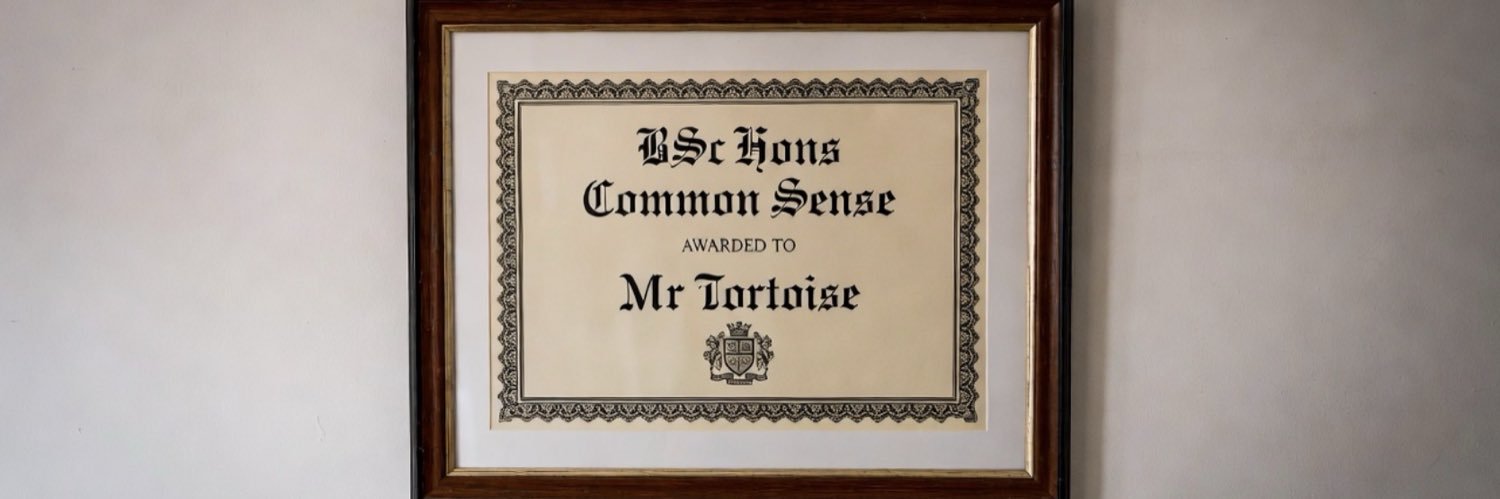 The Tortoise Returns 💎🐢🐢🐢🐢🐢🐢🐢🐢🐢 banner