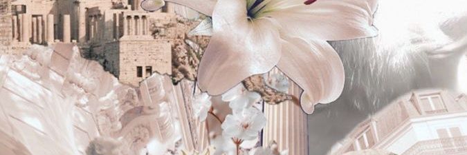 • flake • 🌾's banner