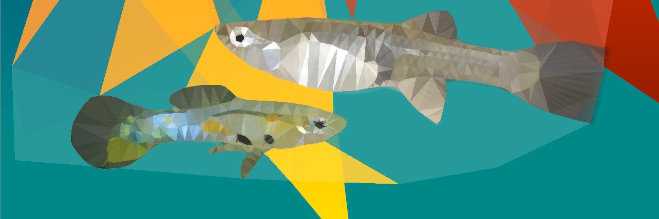 MerelCBreedveld banner