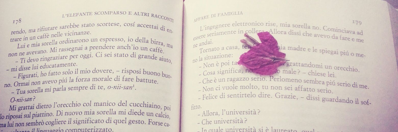 GMartinicchio's profile banner image