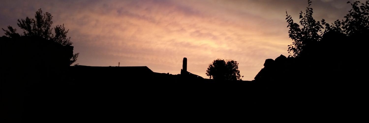 TahaGuerbas's profile banner image