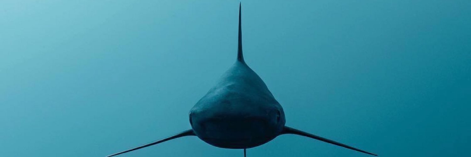 Ncekamil's profile banner image